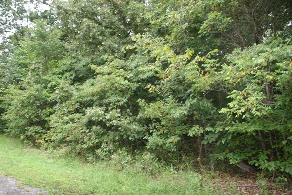 0.95 Acres of Land for Sale in Harrison, Arkansas