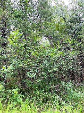 0.17 Acres of Land for Sale in Diamond City, Arkansas