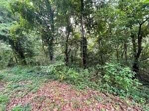 0.35 Acres of Residential Land for Sale in Harrison, Arkansas