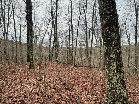 26 Acres of Land for Sale in Sand Gap, Arkansas