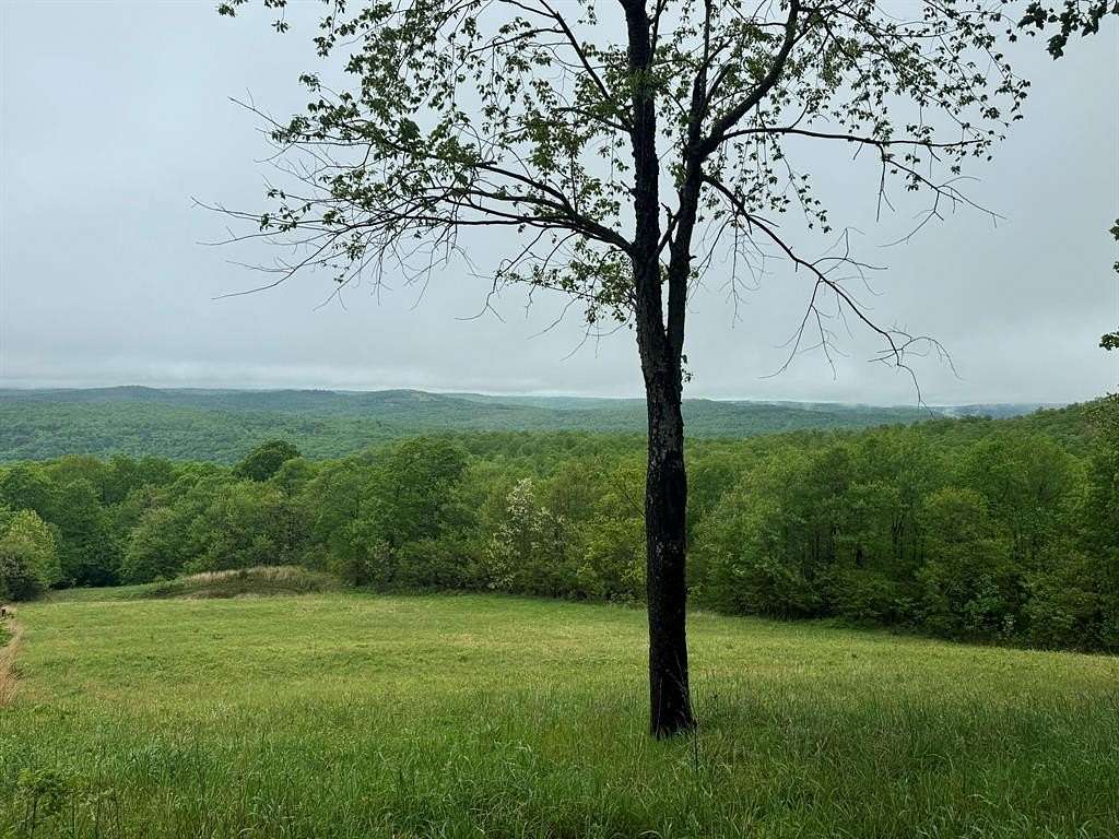 29.44 Acres of Recreational Land with Home for Sale in Sand Gap, Arkansas