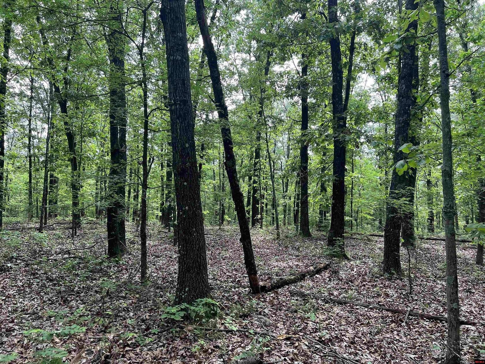 9.58 Acres of Land for Sale in Harrison, Arkansas