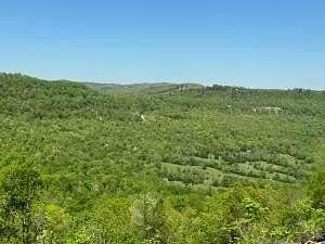 5 Acres of Land for Sale in Jasper, Arkansas