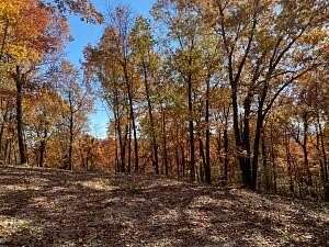 34.82 Acres of Recreational Land for Sale in Western Grove, Arkansas