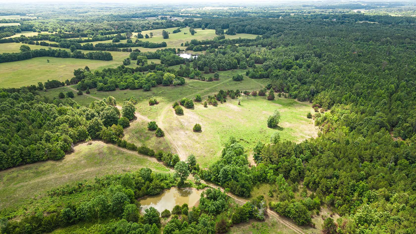 142.28 Acres of Recreational Land for Sale in Crawford, Mississippi