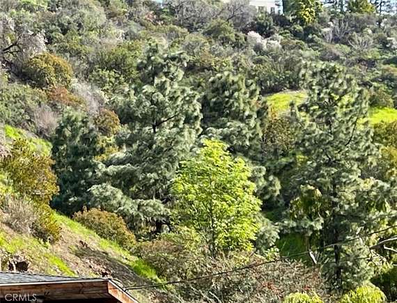 0.062 Acres of Land for Sale in Bel Air, California