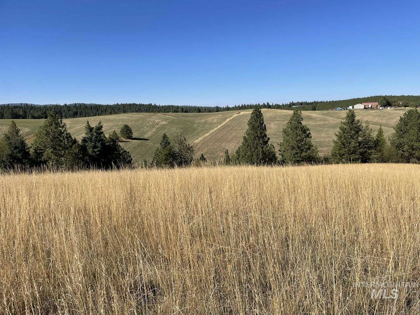 5.62 Acres of Land for Sale in Troy, Idaho