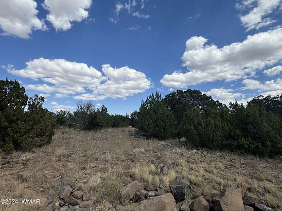 0.22 Acres of Residential Land for Sale in Show Low, Arizona