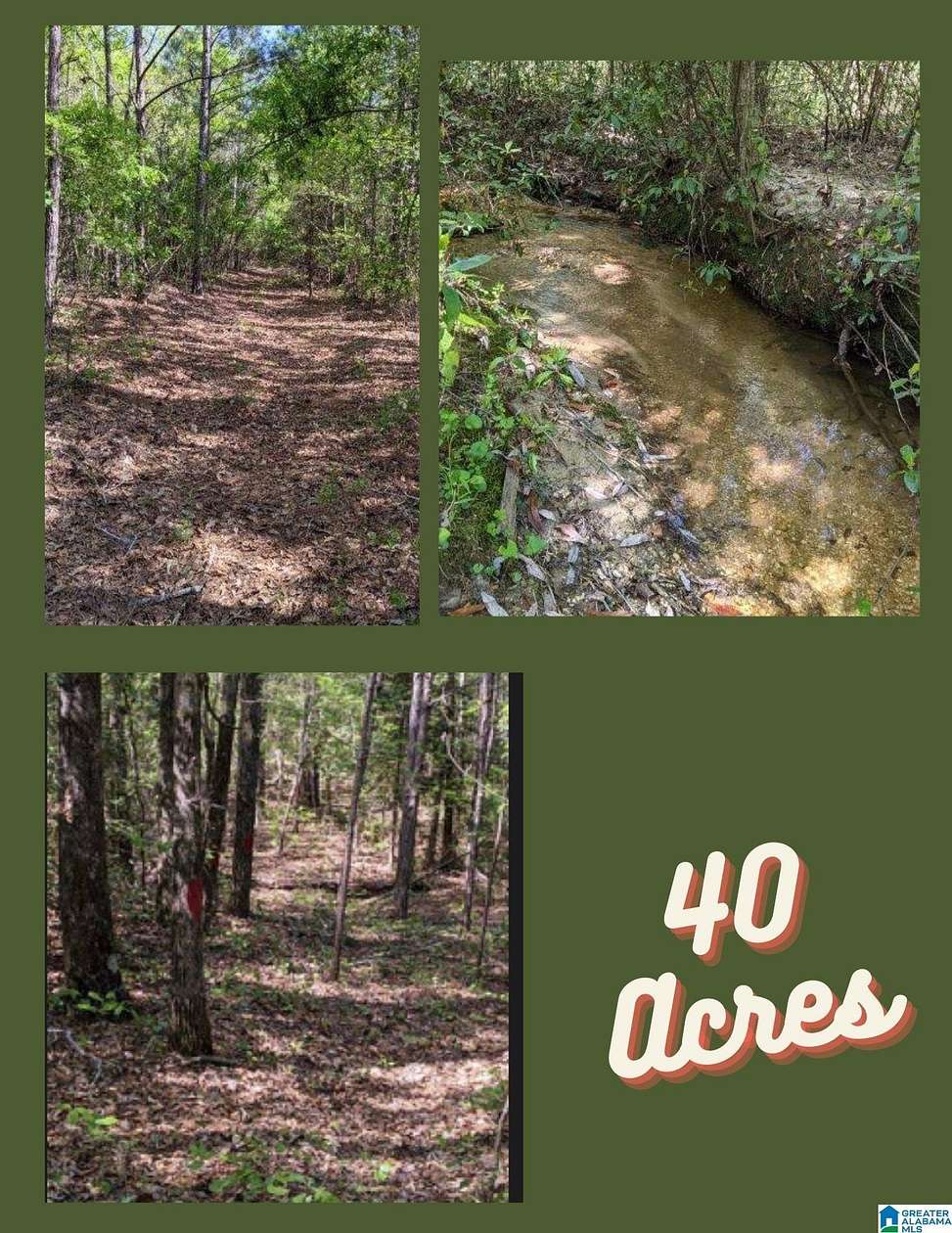 40 Acres of Recreational Land for Sale in Maplesville, Alabama