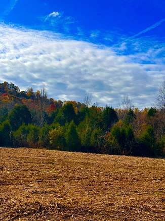 54.88 Acres of Recreational Land & Farm for Sale in Liberty, Kentucky