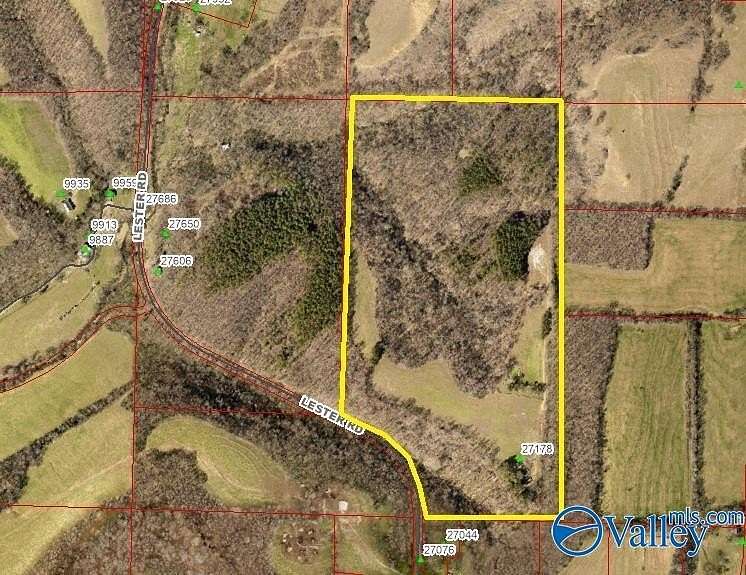 75 Acres of Recreational Land & Farm for Auction in Lester, Alabama