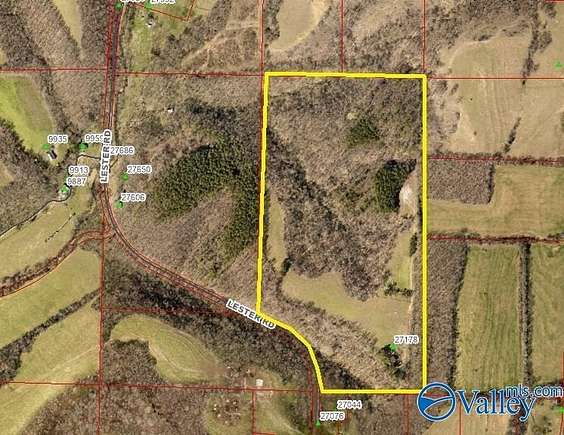 75 Acres of Recreational Land & Farm for Auction in Lester, Alabama