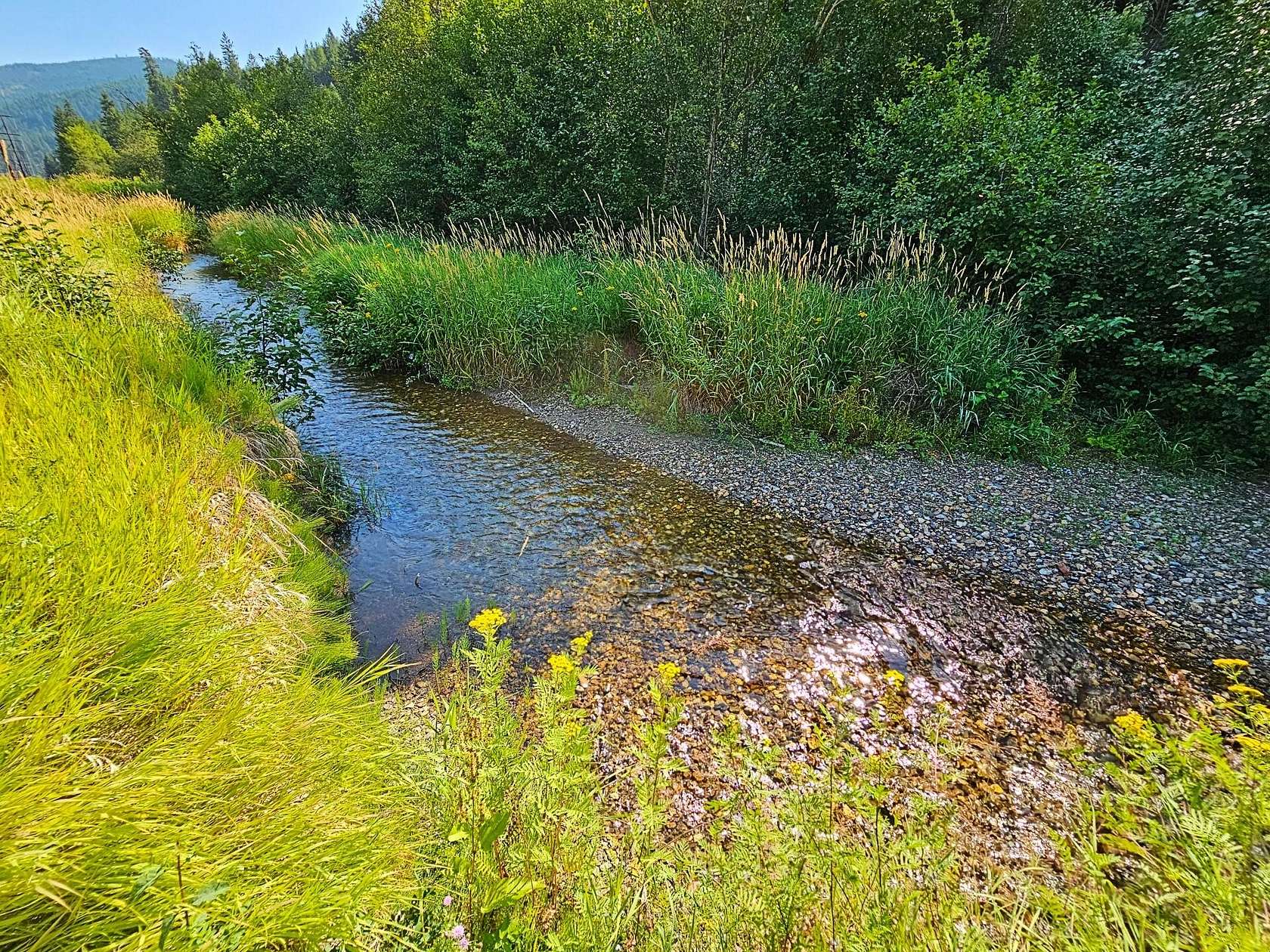 13.56 Acres of Recreational Land & Farm for Sale in Colville, Washington