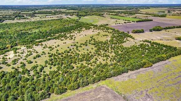 50 Acres of Agricultural Land for Sale in Honey Grove, Texas