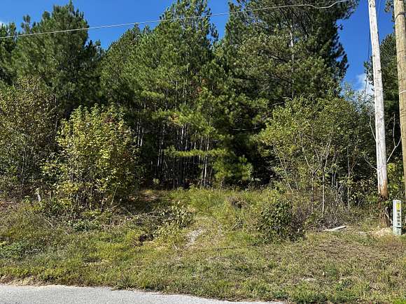 0.04 Acres of Residential Land for Sale in Ringgold, Georgia