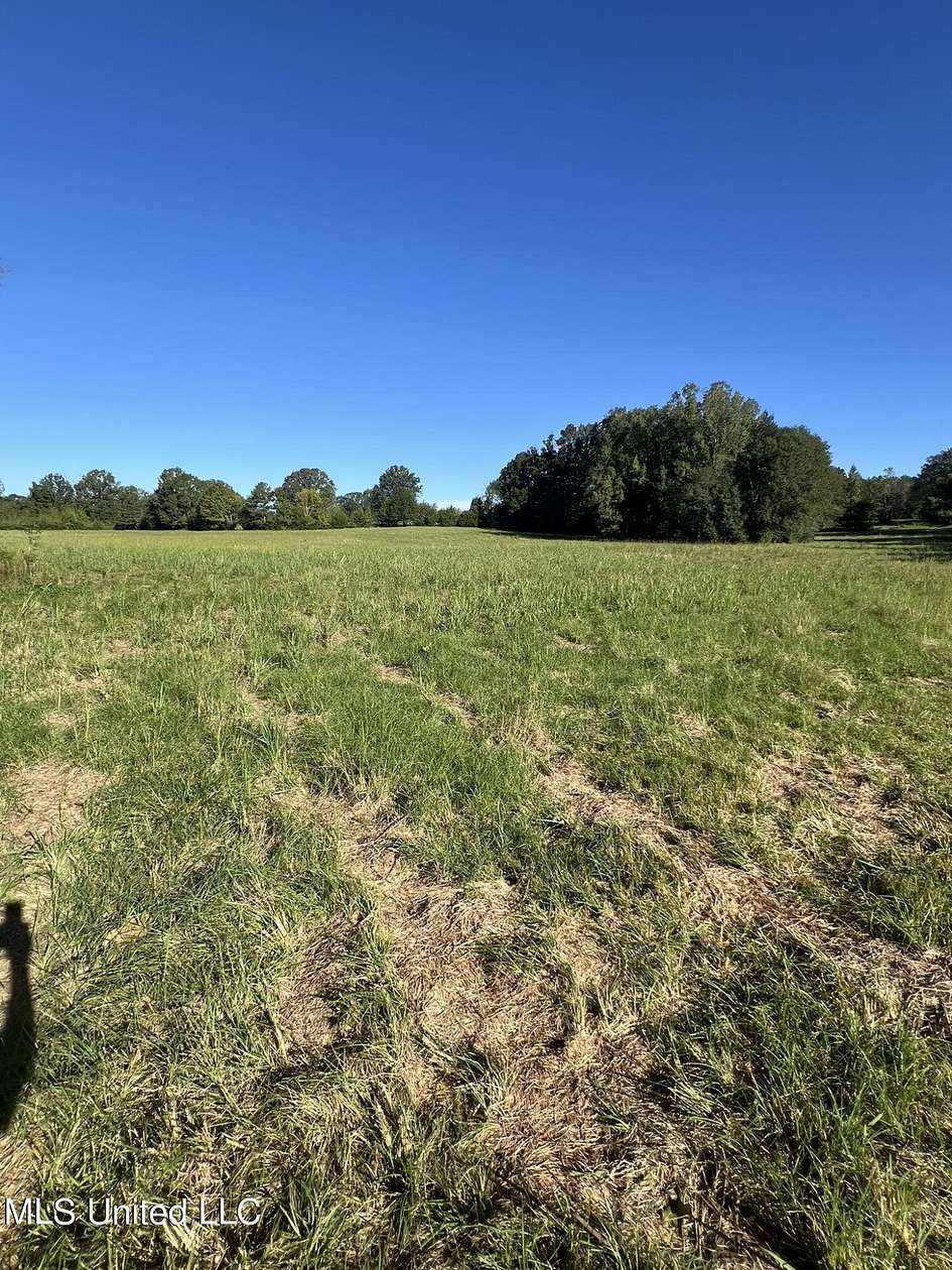 25 Acres of Agricultural Land for Sale in Terry, Mississippi