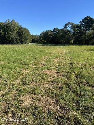 25 Acres of Agricultural Land for Sale in Terry, Mississippi