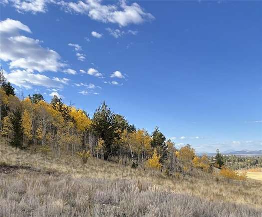 9.99 Acres of Residential Land for Sale in Hartsel, Colorado