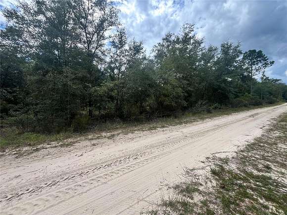 2.5 Acres of Residential Land for Sale in Bronson, Florida