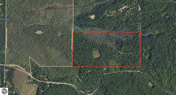 80 Acres of Recreational Land for Sale in Bellaire, Michigan