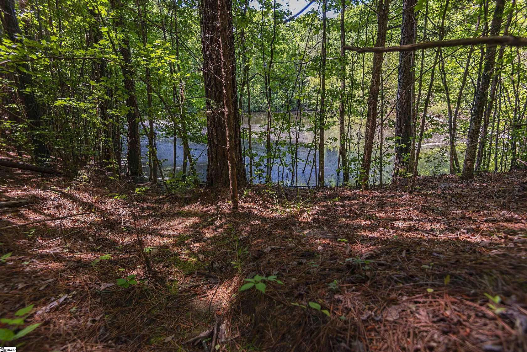 77.64 Acres of Recreational Land for Sale in Clinton, South Carolina