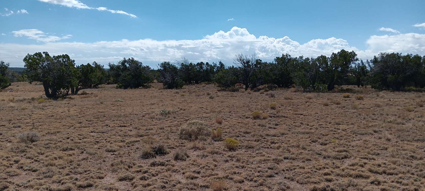 4.64 Acres of Residential Land for Sale in Chambers, Arizona