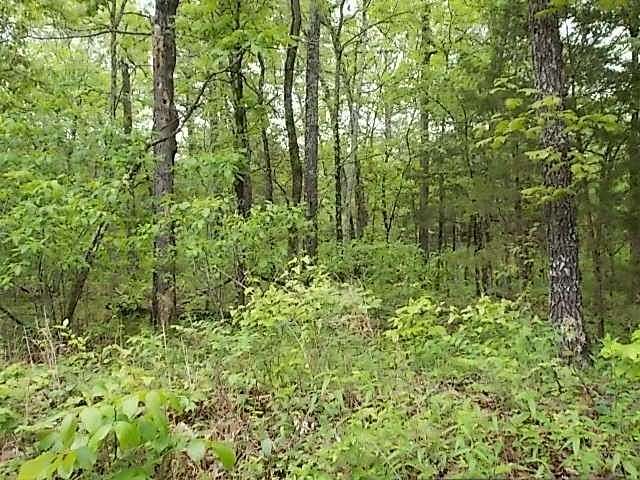 3.09 Acres of Land for Sale in Dora, Missouri