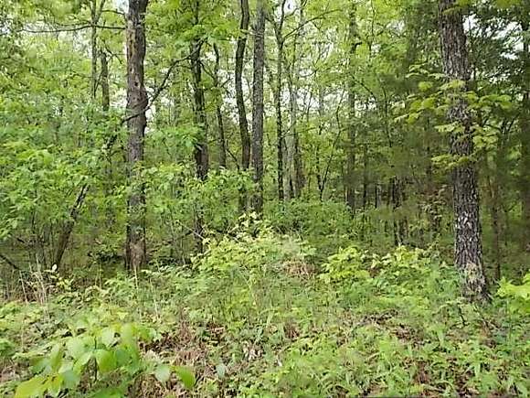 3.09 Acres of Land for Sale in Dora, Missouri