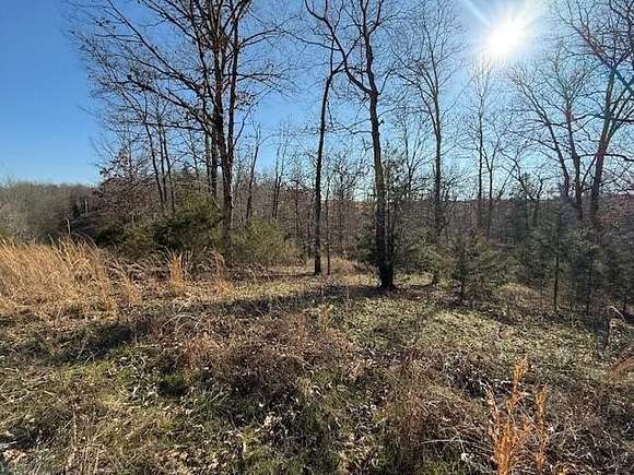 3.23 Acres of Land for Sale in Dora, Missouri