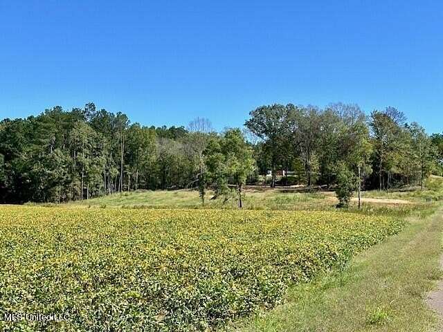 3.8 Acres of Land for Sale in Olive Branch, Mississippi