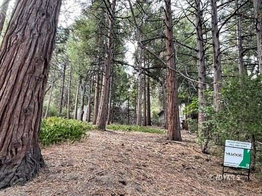 0.17 Acres of Land for Sale in Idyllwild, California