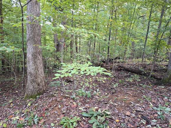 0.61 Acres of Residential Land for Sale in Madisonville, Tennessee