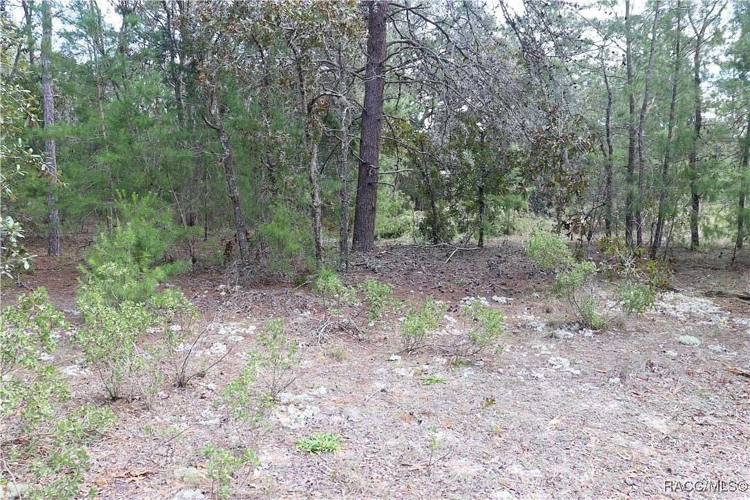 5.02 Acres of Residential Land for Sale in Dunnellon, Florida