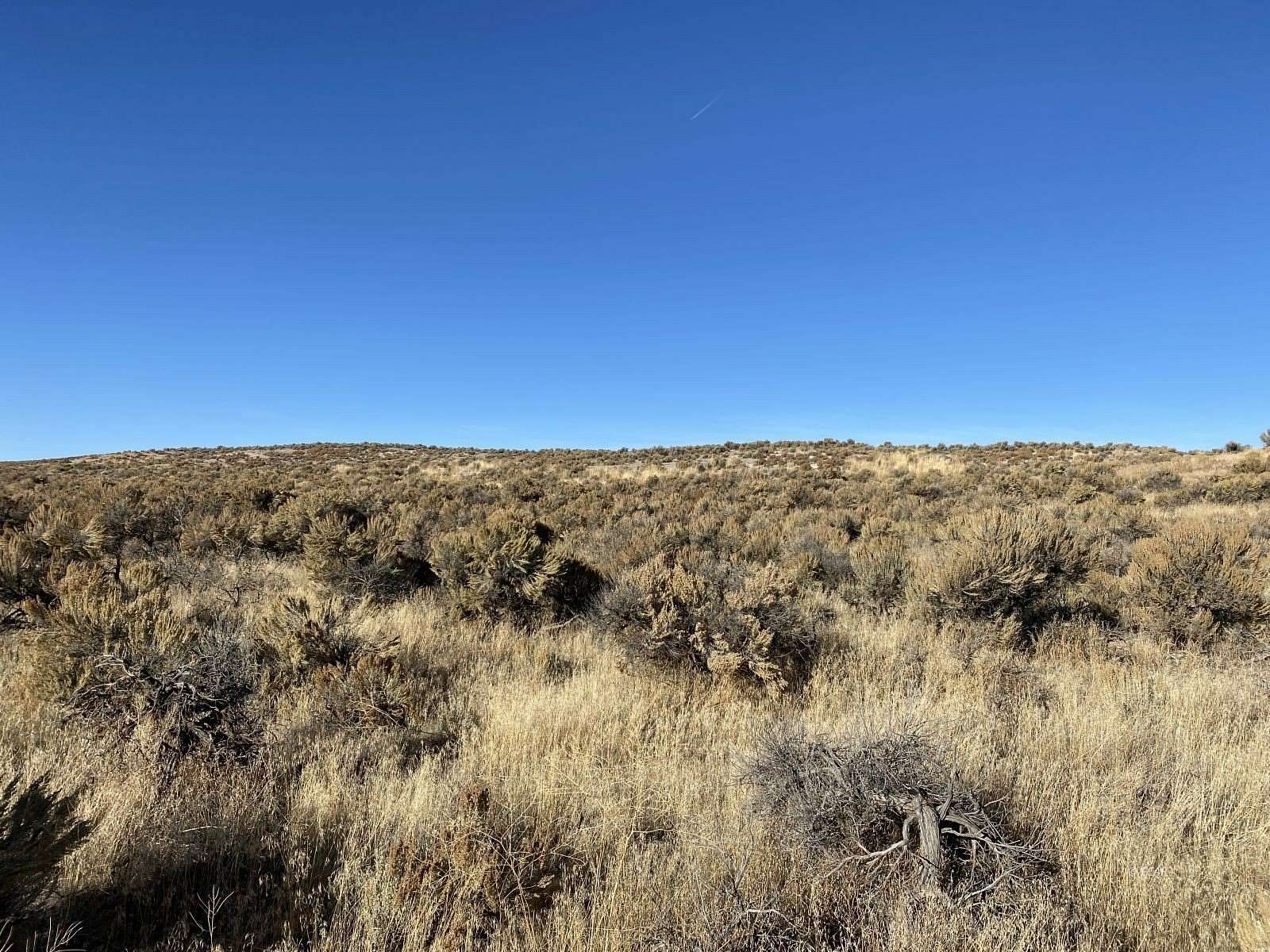 160 Acres of Recreational Land for Sale in Deeth, Nevada