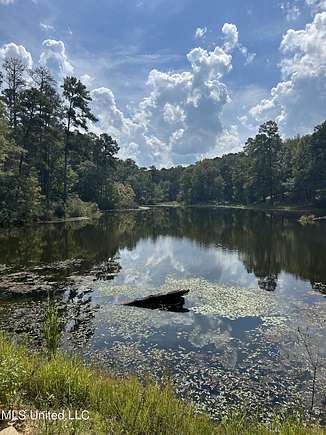 27 Acres of Recreational Land for Sale in Brandon, Mississippi