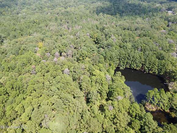 13 Acres of Land for Sale in Brandon, Mississippi