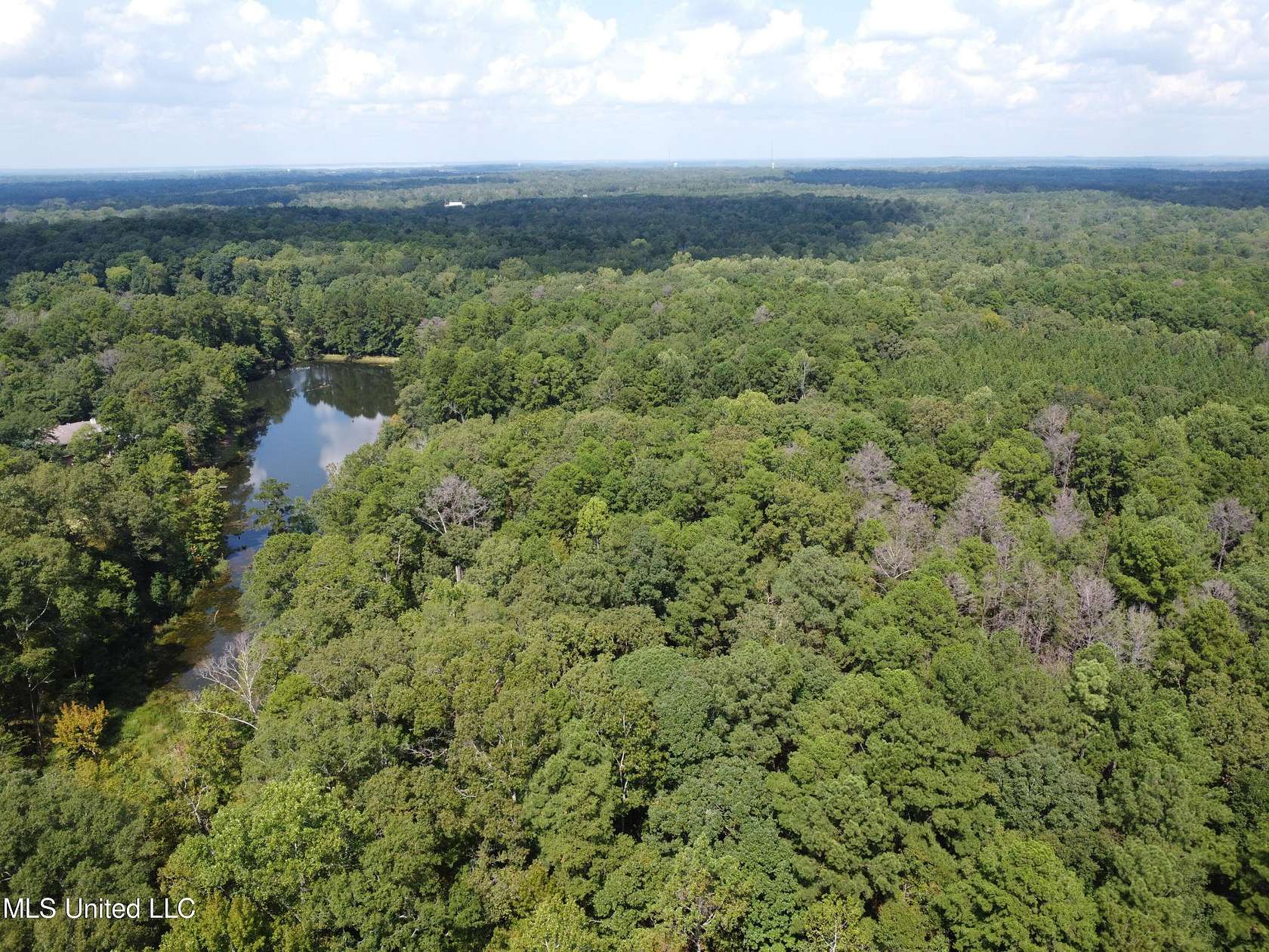 14 Acres of Land for Sale in Brandon, Mississippi