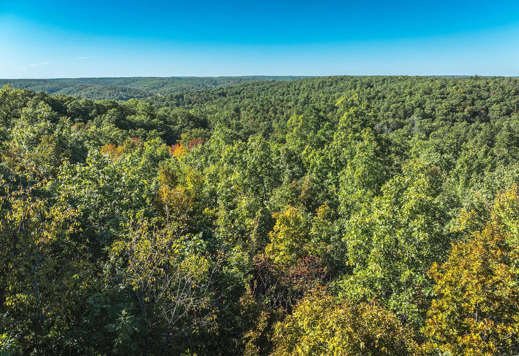 40 Acres of Recreational Land for Sale in Bixby, Missouri - LandSearch