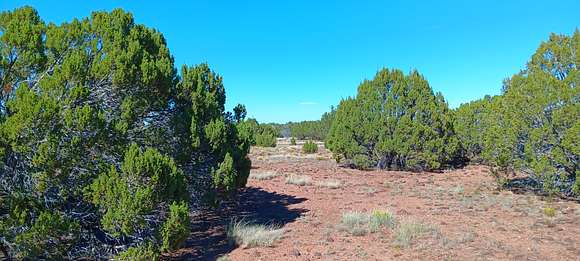 1.16 Acres of Residential Land for Sale in Concho, Arizona