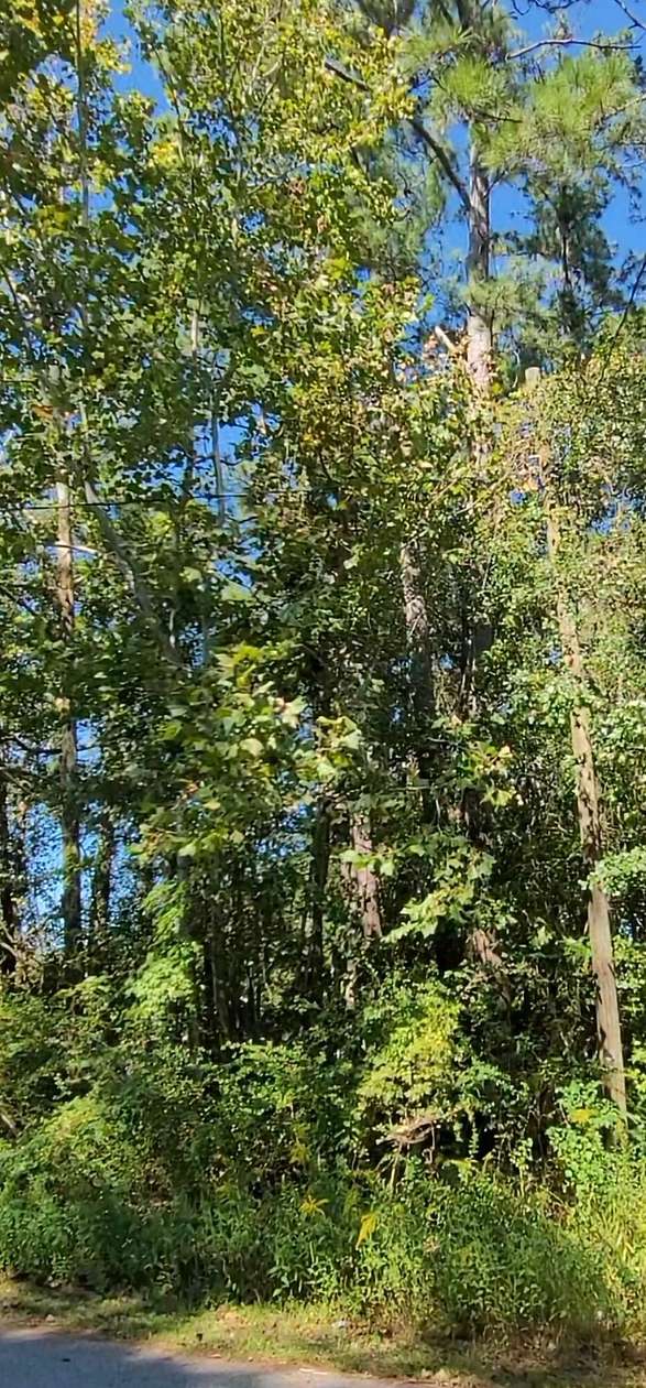 0.28 Acres of Residential Land for Sale in Summerville, South Carolina