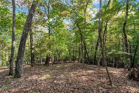 0.73 Acres of Residential Land for Sale in Dahlonega, Georgia