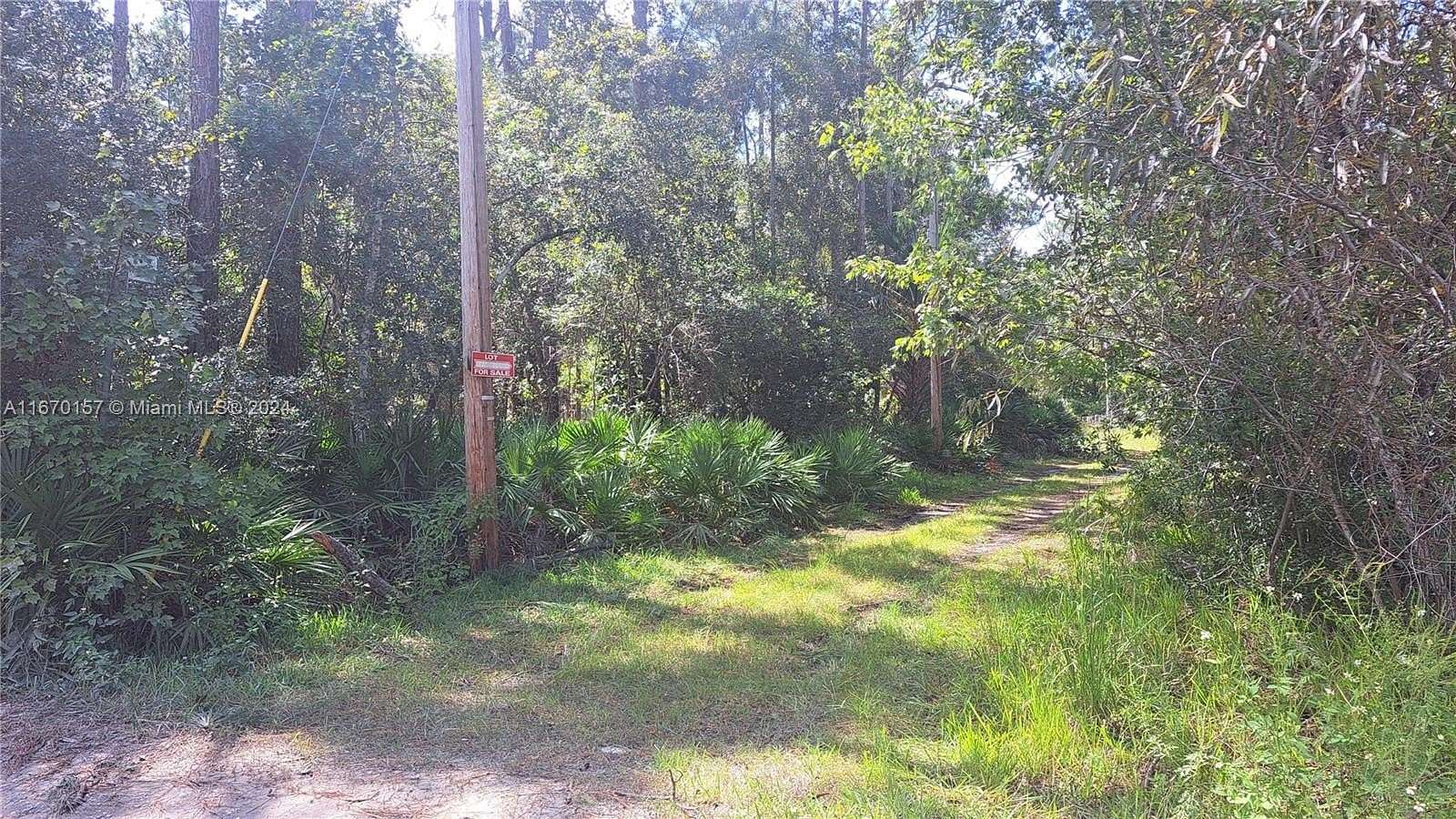 0.17 Acres of Residential Land for Sale in Ocala, Florida