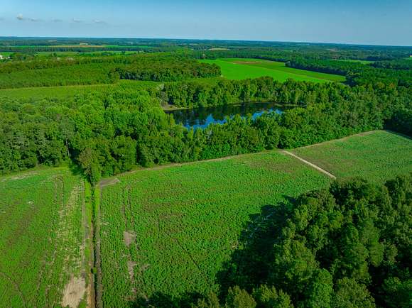 147 Acres of Recreational Land for Sale in Cameron, South Carolina