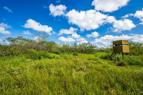 80 Acres of Recreational Land & Farm for Sale in Realitos, Texas