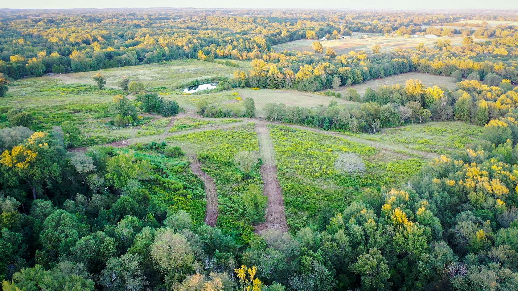 72.3 Acres of Recreational Land & Farm for Sale in Winnsboro, Texas