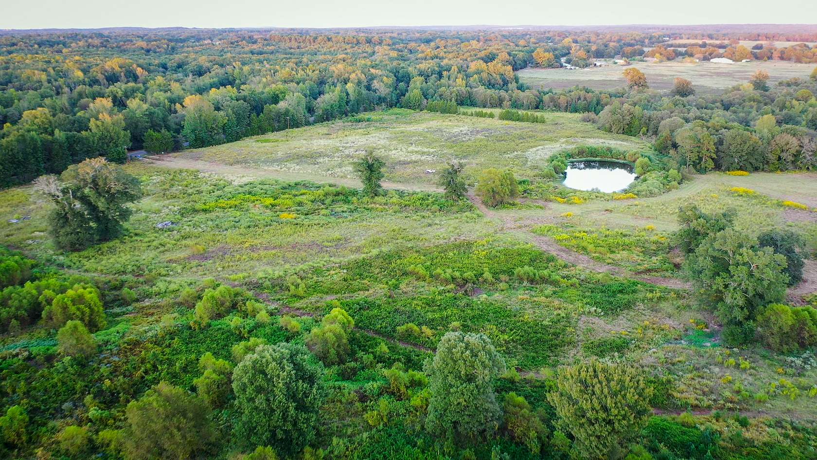 72.3 Acres of Land for Sale in Winnsboro, Texas