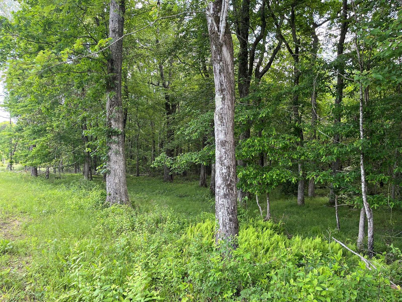 105 Acres of Recreational Land & Farm for Sale in Dunlap, Tennessee