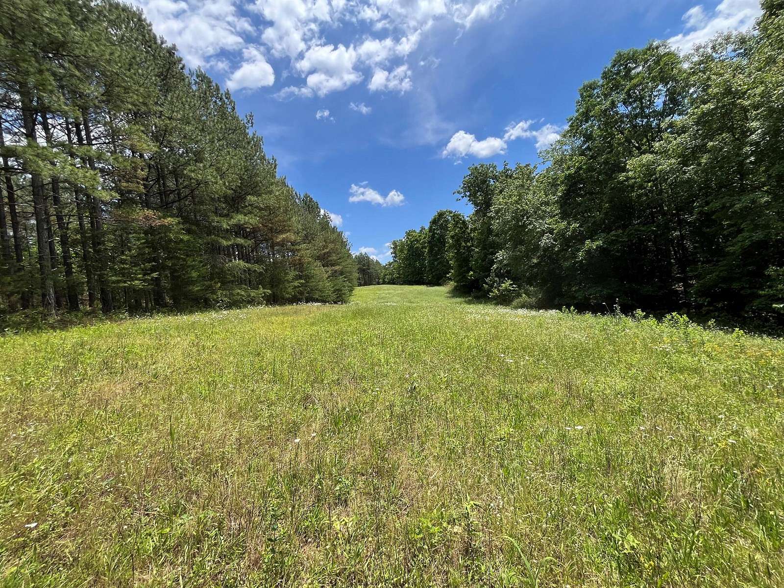 184 Acres of Recreational Land & Farm for Sale in Dunlap, Tennessee