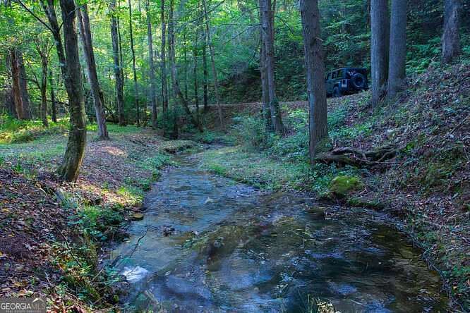 10 Acres of Residential Land for Sale in Ellijay, Georgia