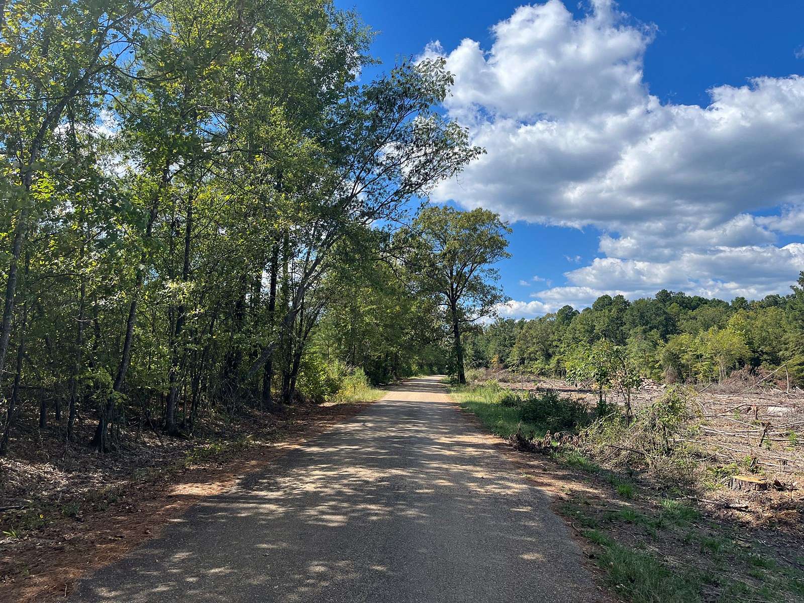 103 Acres of Recreational Land & Farm for Sale in Chidester, Arkansas